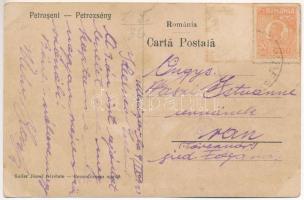 Petrozsény, Petrosany, Petrosani; látkép. Keller József felvétele / general view (fl)