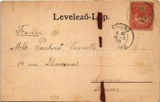 1903 Necpál, Necpaly (Túrócszentmárton, Martin); Stary kastiel Justhovsky. Sochán 101 / idb. Justh G...