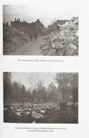 Harsányi László: Gallföldön, rabságban. (Hadifogoly-emlékezések.) Emberré növekedni a háború viharáb...