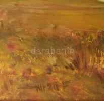 Turza Ferenc (1945-2022): Folyó. Olaj, farost, jelzett, masszív fa keretben 40x50 cm