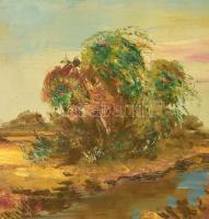 Turza Ferenc (1945-2022): Folyó nyárfákkal. Olaj, farost, jelzett, masszív fa keretben 40x50 cm