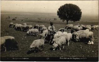 Sofia, Sophia, Sofiya; Hirtenbub aus der Umgebung von Sofia / Bulgarian folklore, shepherd