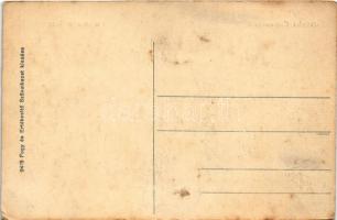 Kamocsa, Komoca (Nyitra, Nitra); Duna részlet komppal / Danube river with ferry (EK)