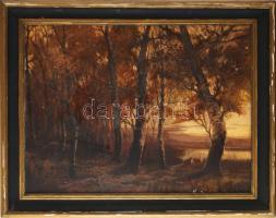 Jelzés nélkül, 1920-40 körül: Őszi táj. Olaj, karton. Dekoratív, sérült fakeretben. 55×72 cm.