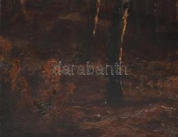 Jelzés nélkül, 1920-40 körül: Őszi táj. Olaj, karton. Dekoratív, sérült fakeretben. 55×72 cm