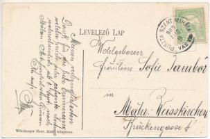 1909 Pusztaszentmihály, Sankt Michael im Burgenland; Fő utca, római katolikus iskola, Gróf Kottalinz...