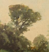 Jelzés nélkül (Komáromi-Kacz Endre?): Zöldellő táj. Olaj, karton. Hátoldalon Komáromi-Kacz Endre fel...