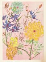 12 db virágokat ábrázoló, színes nyomat, lapokra kasírozva, helyenként foltos lapszélekkel, 27x19 cm