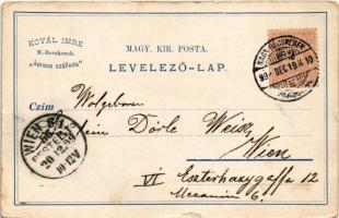 1899 (Vorläufer) Nagybecskerek, Zrenjanin, Veliki Beckerek; Koval's Hotel Krone / Kovál Imre Ko...