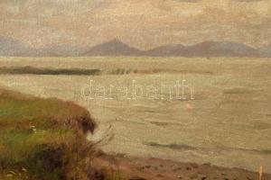 Edvi Illés Aladár (1870-1958): Balatonföldvár/A szigligeti öböl. Olaj, karton. Jelzett. Hátoldalán r...