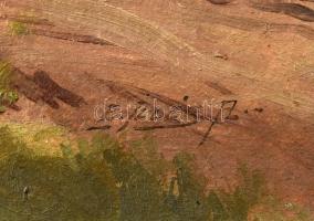 Edvi Illés Aladár (1870-1958): Balatonföldvár/A szigligeti öböl. Olaj, karton. Jelzett. Hátoldalán r...