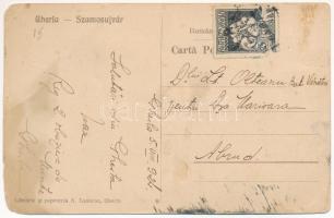 1924 Szamosújvár, Gherla; Erzsébet park. Kiadja A. Todoran / Parcul Elisabeta / park (ázott / wet da...