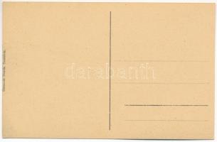 Temesvár, Timisoara; Széna tér, Álló sörcsarnok és vendéglő. Uhrmann Henrik kiadása / Heuplatz, Steh...