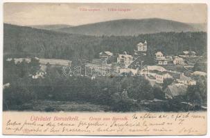 1906 Borszék, Borsec; Villa csoport / Villen gruppe / villas (Rb)