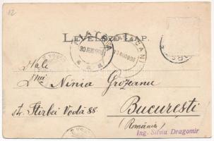 1906 Borszék, Borsec; Villa csoport / Villen gruppe / villas (Rb)