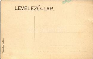 Nagyenyed, Aiud; Sétatéri fenyves sétány. Földes Ede kiadása / promenade (EB)