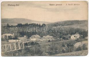 Málnásfürdő, Malnas, Malnas-Bai; a fürdő látképe, vasút. Pálfi Lajos kiadása / general view, railway (ragasztónyom / glue marks