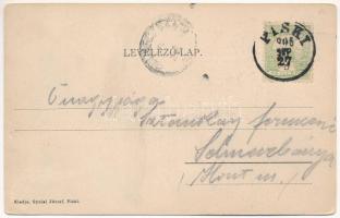 1905 Piski, Simeria; Állami kisdedóvó, iskola, római katolikus templom, Arany utca, üzletek. Gyulai ...