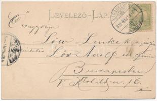 1903 Karánsebes, Caransebes; Ferenc Nándor tér, gyógyszertár / square, pharmacy (EK)