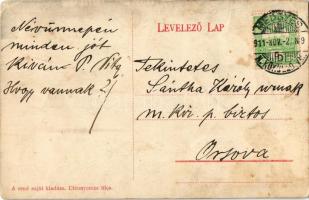 1911 Medgyes, Mediasch, Medias; Szent Ferenc rendiek kertje szerzetessel / Garden of the Franciscans...