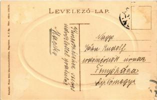 Nagylak, Nadlac; Liget. Weisz Márk kiadása / park (Rb)