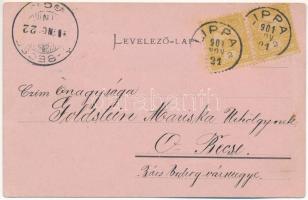 1901 Lippa, Lipova; Sörfőzde kert, vendéglő, étterem / Brewery's restaurant garden (EK)