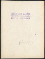 cca 1910 Bajmóc (Felvidék) gróf Palffy kastély., Müllner János pecséttel jelzett, feliratozott fotój...