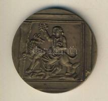 DN "Szombathely város tanácsa" Br emlékérem T:2