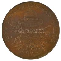 Beck Ötvös Fülöp (1873-1945) 1896. "1896-iki EZREDÉVES ORSZÁGOS KIÁLLÍTÁS / KIÁLLÍTÁSI ÉREM AZ ...