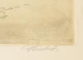 Paulovits Pál (1892-1975): Utolsó levelek, Tabán. Színezett rézkarc, papír, jelzett. Dekoratív, anti...