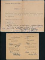 1956 Honvédségi gépjárművezetői igazolvány, engedély