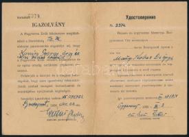 1956 Honvédségi gépjárművezetői igazolvány, engedély