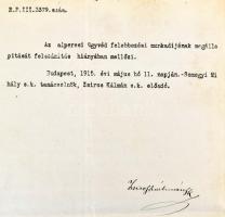 1915 Déva, A M. Kir. Curia gyermektartdíj ügyében kiállított ítélete, fejléces, koronás - tölgyfalev...