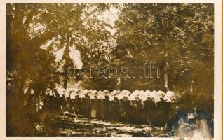 Szatmárnémeti, Satu Mare; A Szatmári Irgalmas Nővérek Anyaházának emlék-albuma (nem képeslap hátolda...