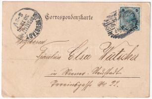 1903 Vatra Dornei, Dornavátra, Bad Dorna-Watra (Bukovina, Bukowina); Curhotel II., Hermann Fischer /...