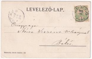 1905 Lublófüred, Lubló-fürdő, Kúpele Lubovna (Ólubló, Stará Lubovna); Iris villa. Blatniczky István ...