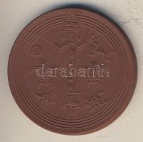 NSZK DN "Karl May - Museum Radebeul" barna porcelánérem T:1