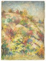 Jelzés nélkül: Virágzó domb. Olaj, papír, farostra ragasztva. Kissé sérült. 40x30 cm