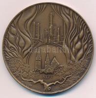 1990. "25 éves az algyői kőolaj- és földgáztermelés 1965-1990" bronz emlékérem (70mm) T:XF...