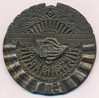 1973. MÁV Széchenyi-hegyi Úttörővasút 1948-1973 egyoldalas, öntött bronz jubileumi emlékérem (70mm) T:AU