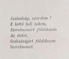 Petőfi Sándor költeményei I-IV. kötet. Bp.,1877, Athenaeum, 1t.(címkép)+6+466+2+4+450+XII+1+4+471+XI...