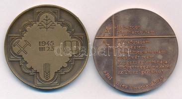 Fritz Mihály (1947-) 1982. "Zirc" kétoldalas bronz emlékérem (42,5mm) + Bozó Gyula (1913-2...