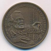 Peternák Gusztáv (1928-) 1982. "Bartók Béla 1881-1981 / Kodály Zoltán 1882-1982" bronz eml...