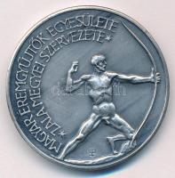 Szabolcs Péter (1942-) 1984. "MÉE Zala megye / Kisfaludi Strobl Zsigmond" ezüstpatinázott ...