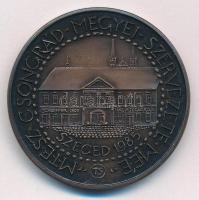 Tóth Sándor (1933-) 1985. "Vedres István / MTESZ Csongrád Megyei Szervezete MÉE" bronz eml...