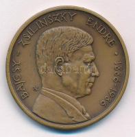 Nagy Lajos (1949-) 1986. MÉE Szabolcs-Szatmár Megyei Szervezete / Bajcsy-Zsilinszky Endre 1886-1986 bronz emlékérem (42,5mm) T:UNC Adamo NH3