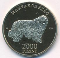 2020. 2000Ft Cu-Ni-Zn "Komondor" kapszulában T:P Adamo EM411
