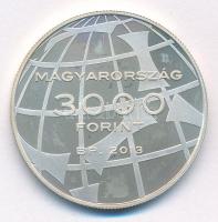 2013. 3000Ft Ag "FIFA Labdarúgó Világbajnokság Brazília 2014" T:PP fo. Adamo EM262