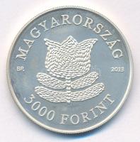 2013. 3000Ft Ag "A magyar táncház módszer" kapszulában, tanúsítvánnyal T:PP Adamo EM256