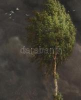 Adolf Zdrazila (1868-1942): Hazafelé (vihar előtt). Olaj, vászon, jelezve balra lent. Dekoratív fake...